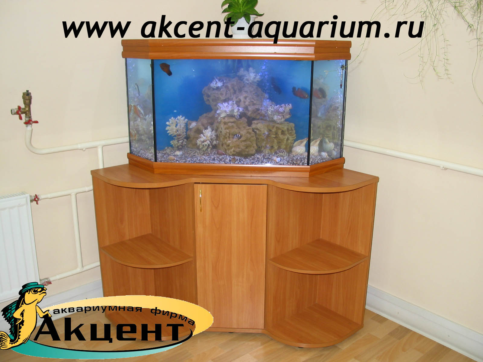 Акцент-аквариум, аквариум угловой 140 литров, панорама